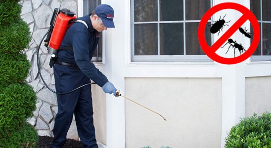 Tekirdağ Böcek İlaçlama böcek ilaçlama ve haşere kontrolü — ilaclama-tr.com